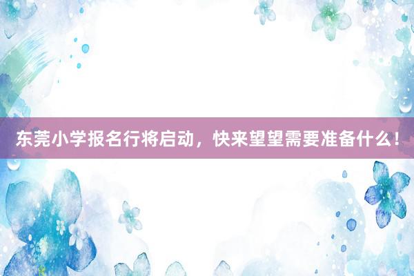 东莞小学报名行将启动，快来望望需要准备什么！