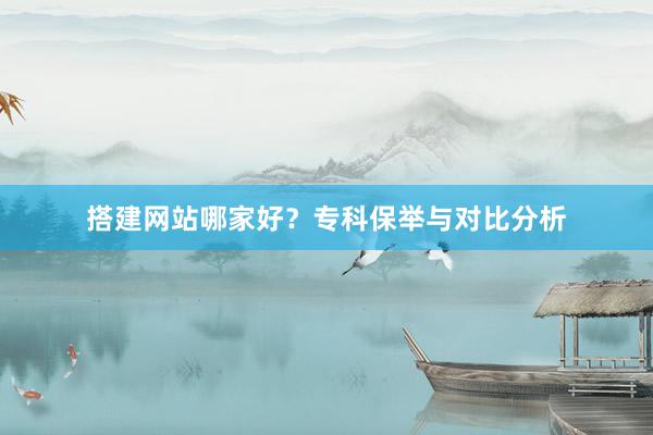搭建网站哪家好？专科保举与对比分析